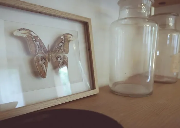 Appartamento La Corte Del Pratello