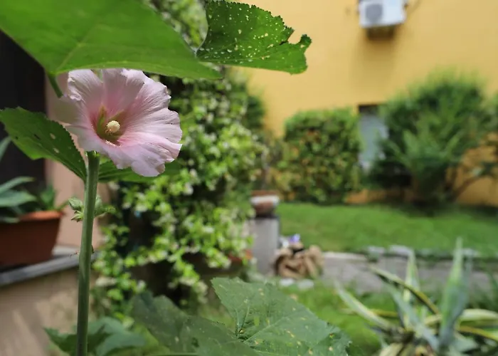 Apartment La Corte Del Pratello